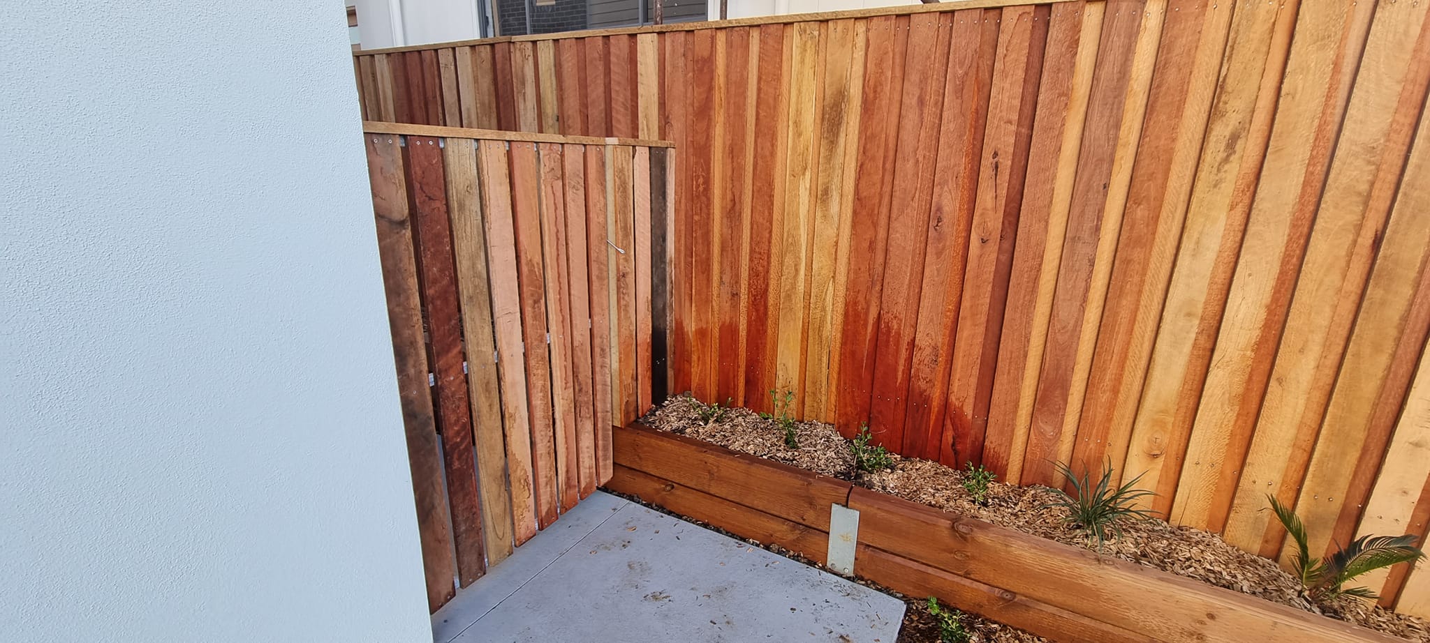 New raw hardwood paling fence on residential block