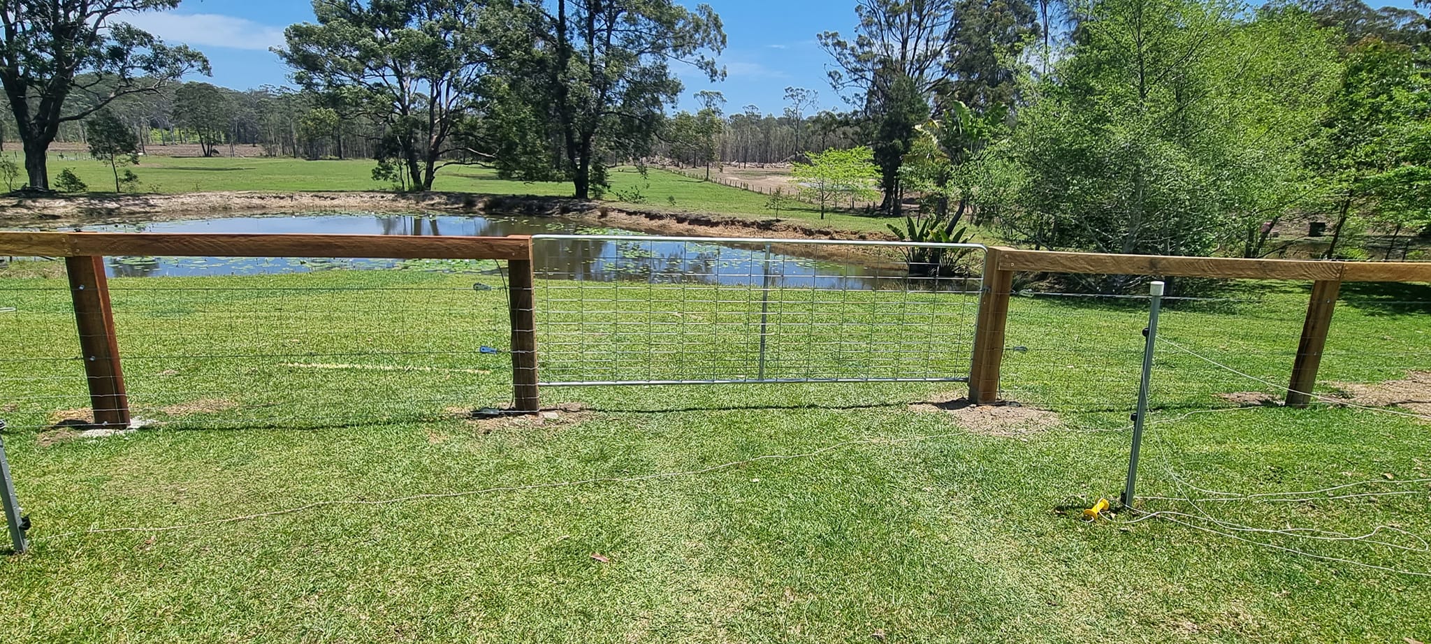 Rural fence line with pond and gum trees behind